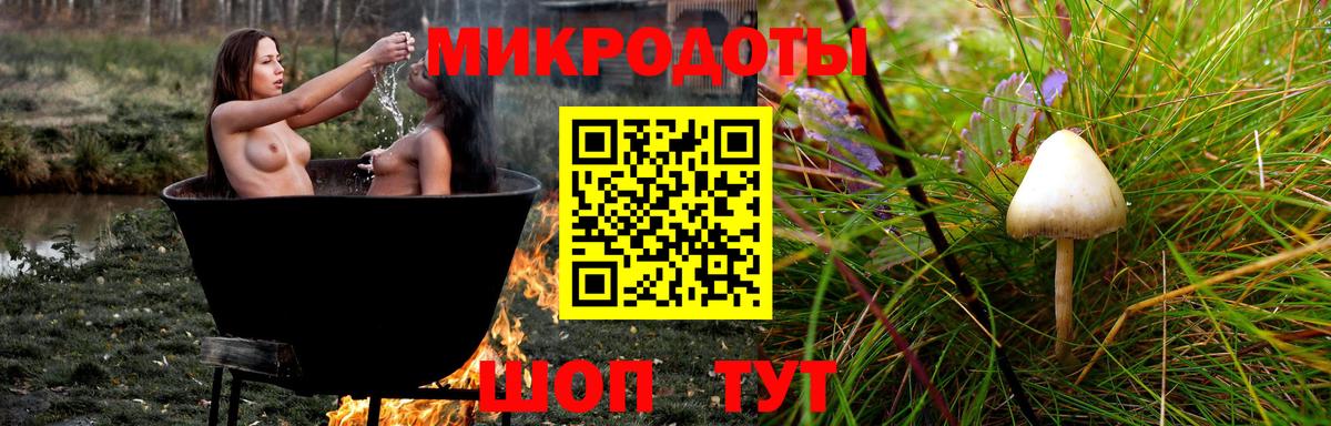 Миасс  Псилоцибиновые грибы мухоморы  Галлюциногенные грибы мицелий  Вход с VPN 